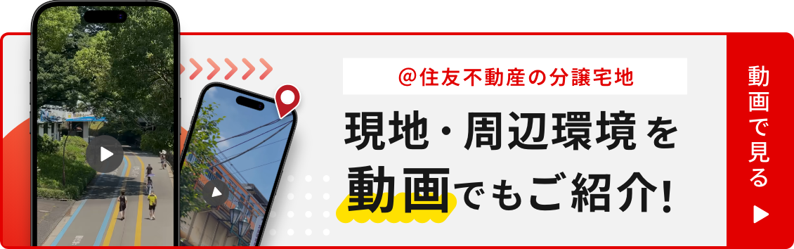 動画でチェック