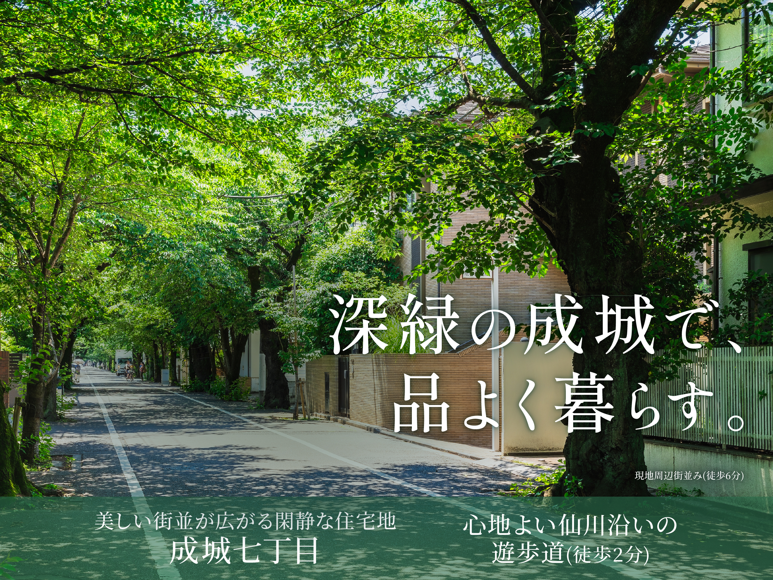 シティガーデン成城七丁目